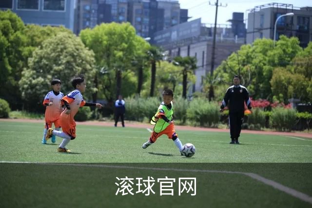 关于滚球官网